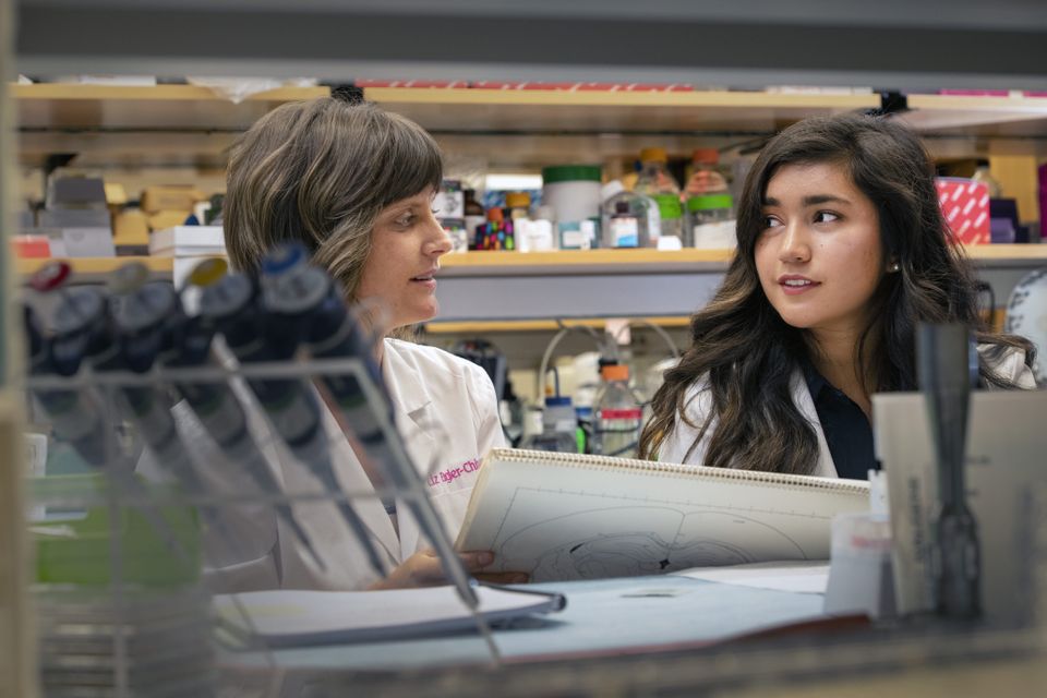 WVU undergraduate student Liza Grossman, (right) performs research in her lab with her professor Dr. Elizabeth Engler-Chiurazzi, (left) at the Erma Byrd Biomedical Research Center